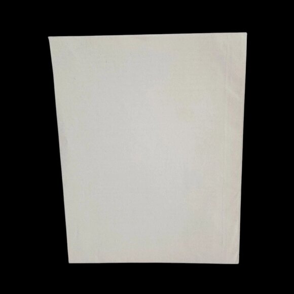 Eastern Air Lines Independent Shareholder Proxy Booklet April 28 1981 Ephemera - Picture 7 of 7